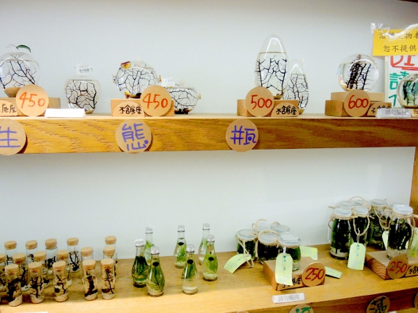 宜蘭員山)勝洋休閒農場- 來去宜蘭郊遊吧！(上)