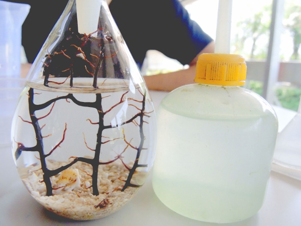 宜蘭員山)勝洋休閒農場- 來去宜蘭郊遊吧！(上)