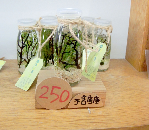 宜蘭員山)勝洋休閒農場- 來去宜蘭郊遊吧！(上)