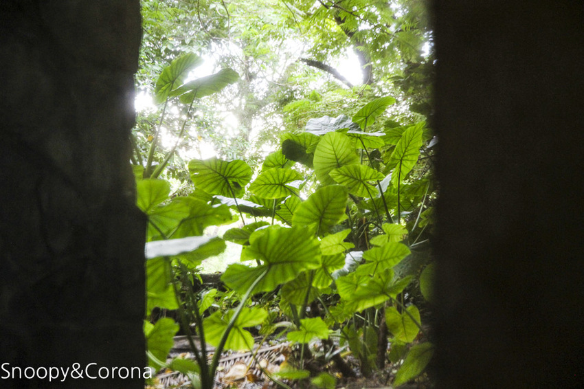 【玩樂台北】史上最神秘的溜滑梯在哪裡?就在圓山大飯店~搭台北市雙層巴士可免費參觀圓山飯店密道導覽行程