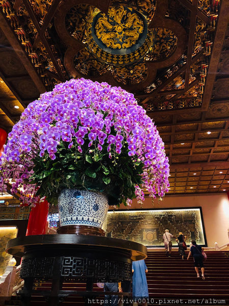 圓圓家的移動城堡-《台北景點》揭開神秘的圓山地道面紗，充滿歷史風的導覽，好值得的一趟神秘旅程