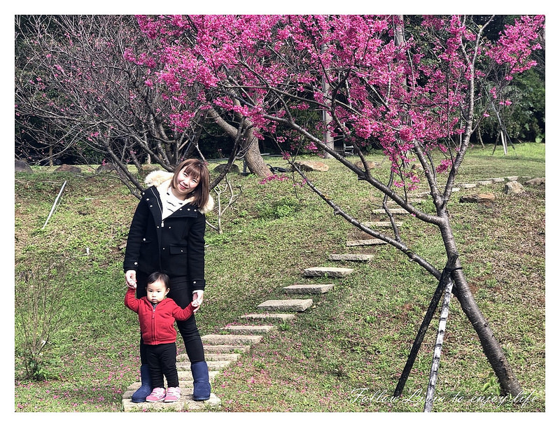 20180130_180130_0005 20180130_180130_0005