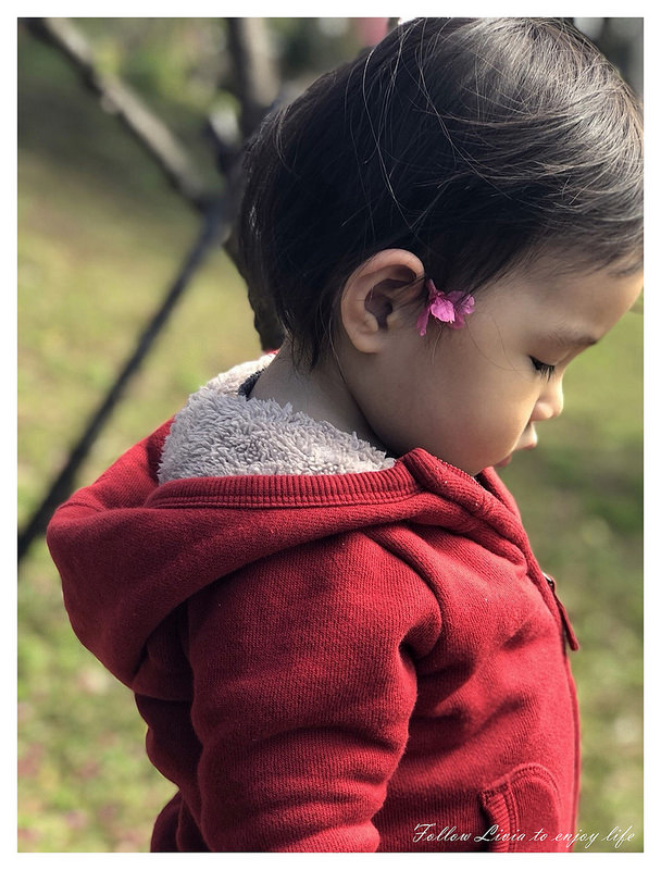 20180130_180130_0008 20180130_180130_0008