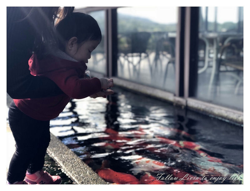 20180130_180130_0002 20180130_180130_0002