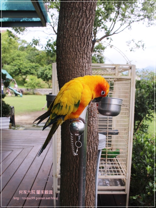 淡水日光行館親子景觀餐廳 11.JPG