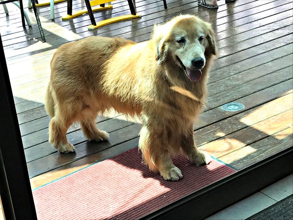 日光行館：日光行館