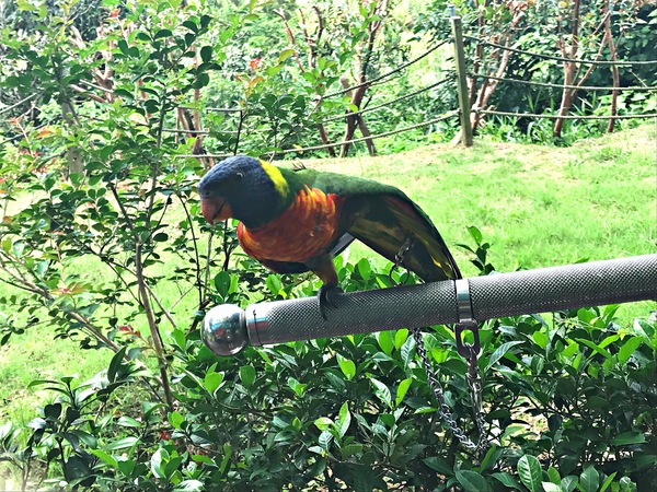 日光行館：日光行館