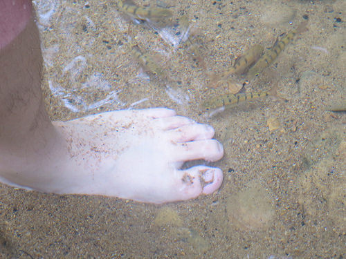 富民橋親水空間 18