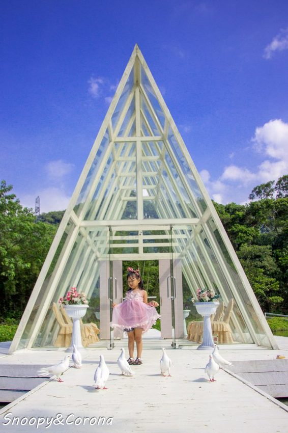 【玩樂．桃園】大溪景點／富田香草休閒農場～夢幻水上玻璃教堂、近距離餵養小動物，好玩好拍適合情侶與親子