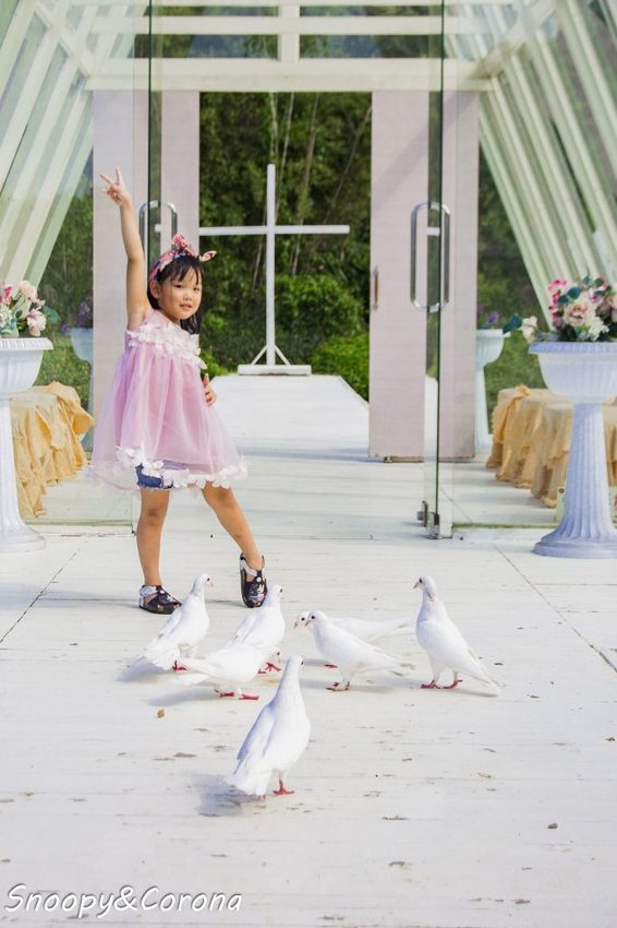 【玩樂．桃園】大溪景點／富田香草休閒農場～夢幻水上玻璃教堂、近距離餵養小動物，好玩好拍適合情侶與親子