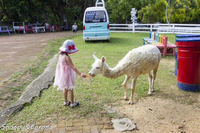 【玩樂．桃園】大溪景點／富田香草休閒農場～夢幻水上玻璃教堂、近距離餵養小動物，好玩好拍適合情侶與親子