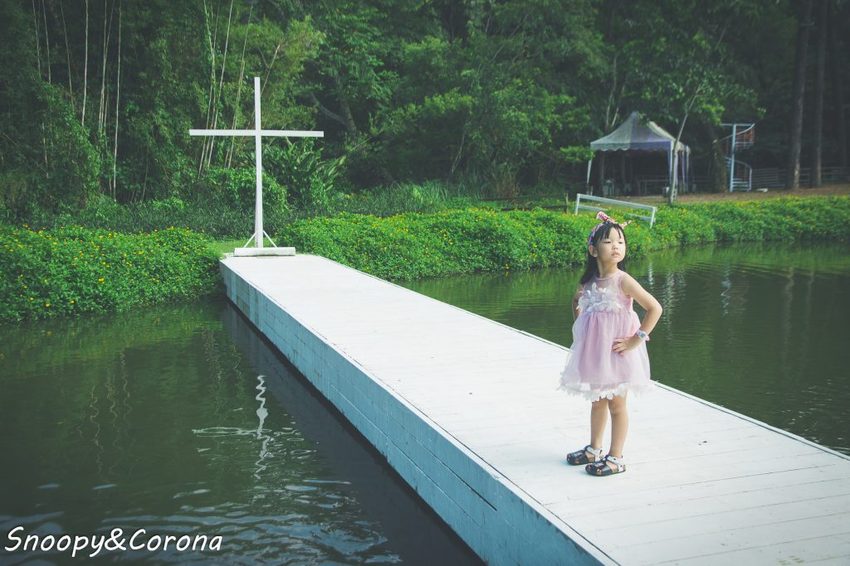 【玩樂．桃園】大溪景點／富田香草休閒農場～夢幻水上玻璃教堂、近距離餵養小動物，好玩好拍適合情侶與親子