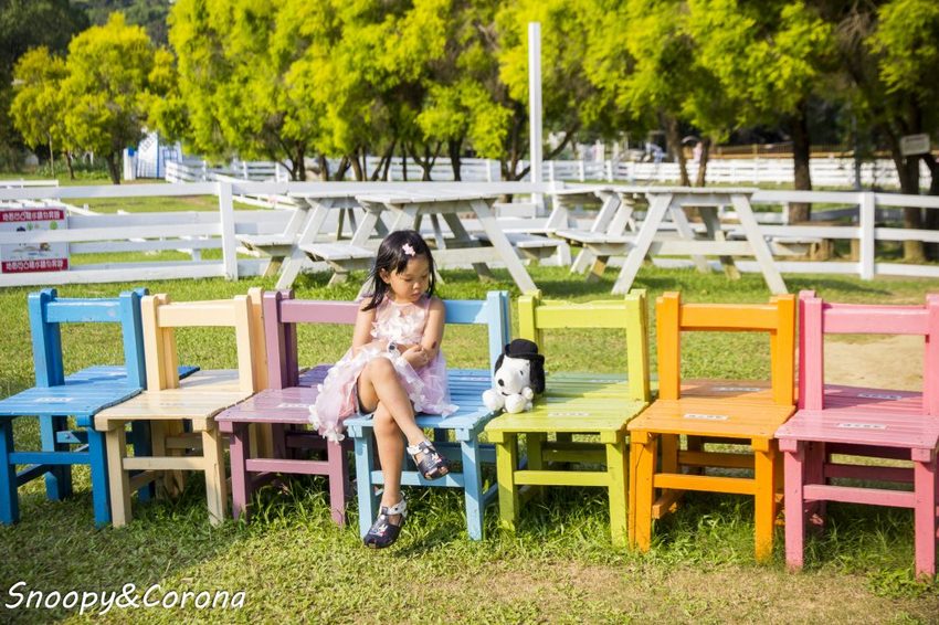 【玩樂．桃園】大溪景點／富田香草休閒農場～夢幻水上玻璃教堂、近距離餵養小動物，好玩好拍適合情侶與親子