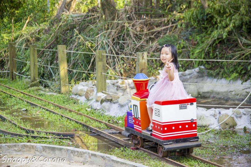 【玩樂．桃園】大溪景點／富田香草休閒農場～夢幻水上玻璃教堂、近距離餵養小動物，好玩好拍適合情侶與親子