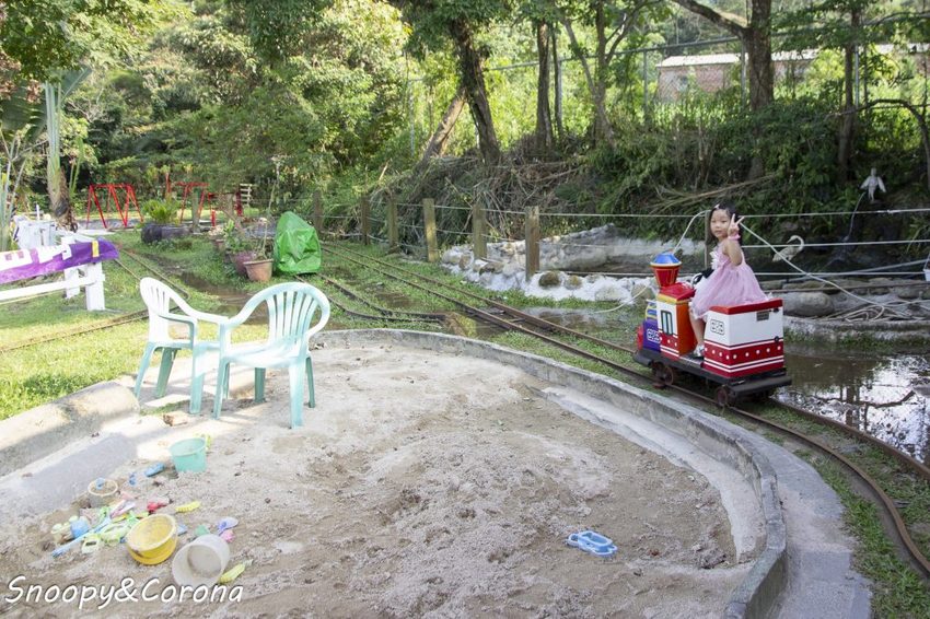 【玩樂．桃園】大溪景點／富田香草休閒農場～夢幻水上玻璃教堂、近距離餵養小動物，好玩好拍適合情侶與親子