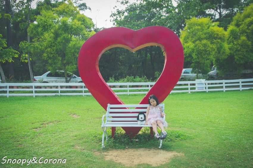 【玩樂．桃園】大溪景點／富田香草休閒農場～夢幻水上玻璃教堂、近距離餵養小動物，好玩好拍適合情侶與親子