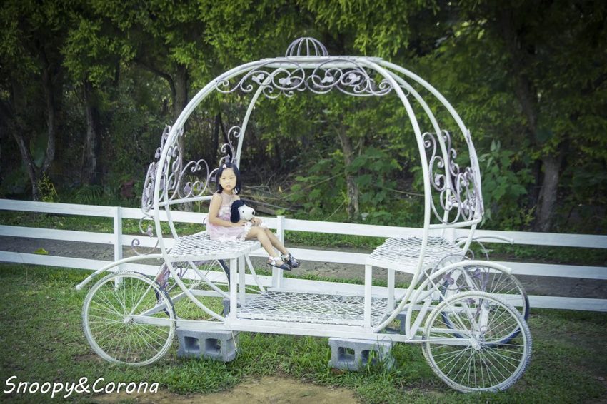 【玩樂．桃園】大溪景點／富田香草休閒農場～夢幻水上玻璃教堂、近距離餵養小動物，好玩好拍適合情侶與親子