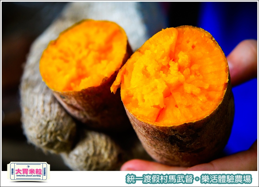 統一渡假村馬武督-樂活體驗農場@大胃米粒0079.jpg