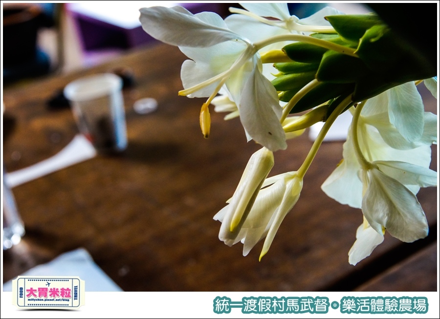 統一渡假村馬武督-樂活體驗農場@大胃米粒0030.jpg