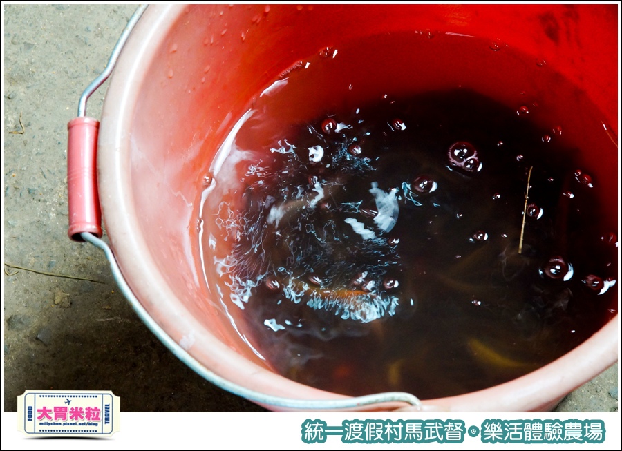 統一渡假村馬武督-樂活體驗農場@大胃米粒0043.jpg
