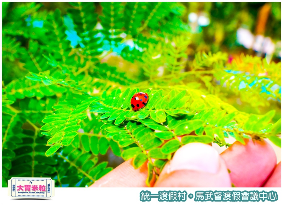 統一渡假村-馬武督渡假會議中心@大胃米粒0082.jpg
