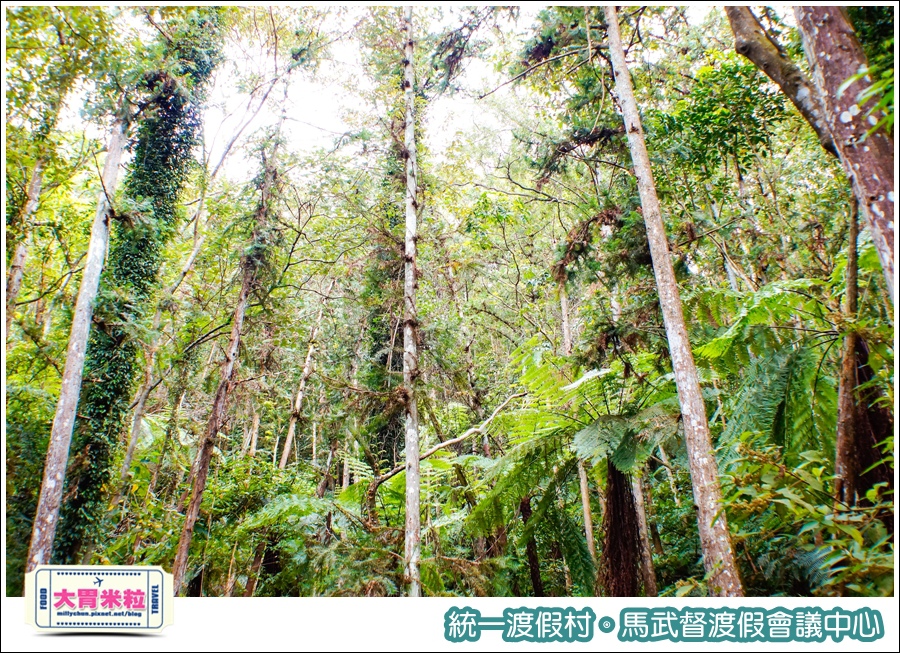 統一渡假村-馬武督渡假會議中心@大胃米粒0127.jpg