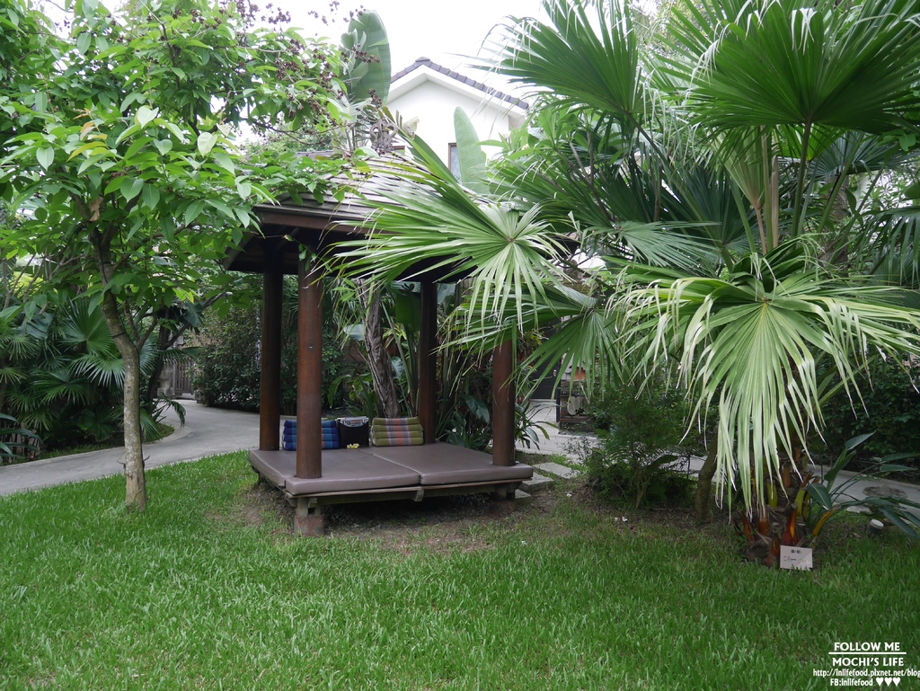 P1100320.JPG P1100320.JPG