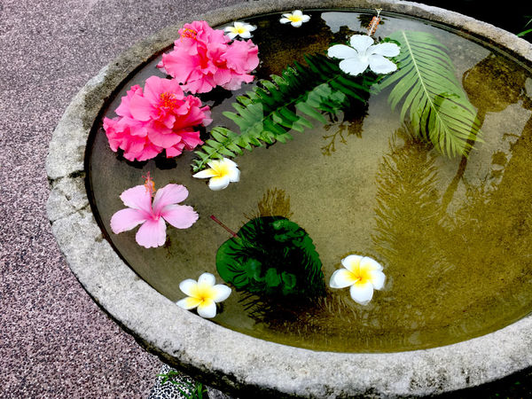 ［新竹］六星集民宿 峇里島包棟私人游泳池