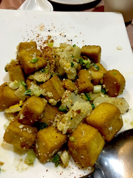 ［新竹］六星集民宿 峇里島包棟私人游泳池