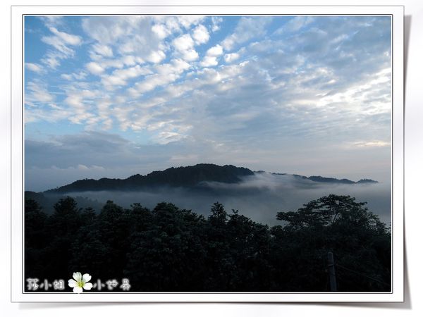 0070SAM_0984 0070SAM_0984