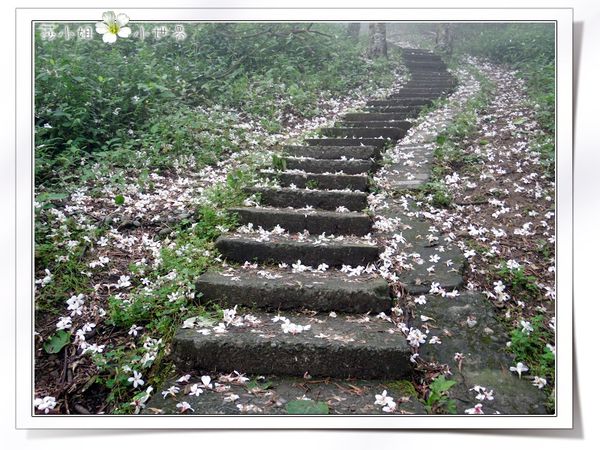 0040SAM_0927 0040SAM_0927