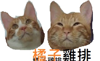 松子純手工奶酪烤布丁：口碑券NO.19 松子純手工奶酪烤布丁 -極致布丁奶酪口感