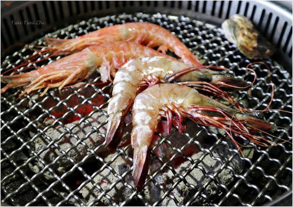 IMG_8838.JPG IMG_8838.JPG