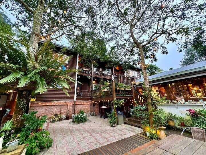 貓咪駐店,住宿、餐食與賞螢|森林系童話故事小屋,苗栗南庄─橄欖樹咖啡民宿 - 魚兒 x 牽手明太子的「視」界旅行