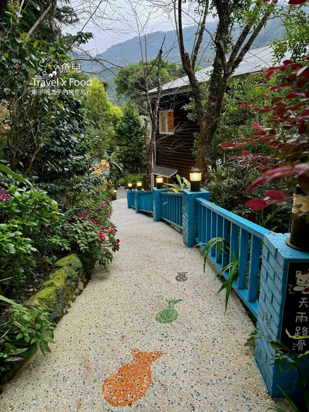 貓咪駐店,住宿、餐食與賞螢|森林系童話故事小屋,苗栗南庄─橄欖樹咖啡民宿 - 魚兒 x 牽手明太子的「視」界旅行