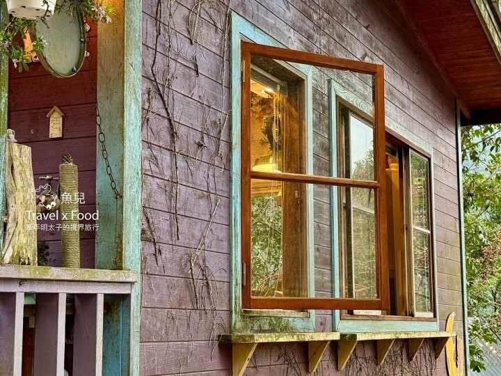 貓咪駐店,住宿、餐食與賞螢|森林系童話故事小屋,苗栗南庄─橄欖樹咖啡民宿 - 魚兒 x 牽手明太子的「視」界旅行