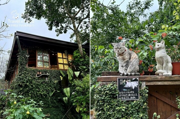 貓咪駐店,住宿、餐食與賞螢|森林系童話故事小屋,苗栗南庄─橄欖樹咖啡民宿 - 魚兒 x 牽手明太子的「視」界旅行