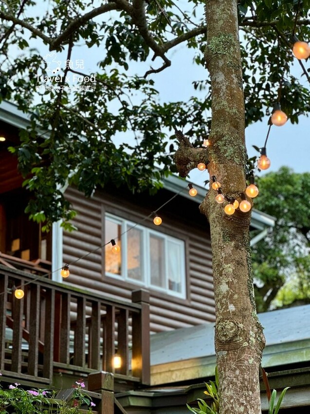 貓咪駐店,住宿、餐食與賞螢|森林系童話故事小屋,苗栗南庄─橄欖樹咖啡民宿 - 魚兒 x 牽手明太子的「視」界旅行