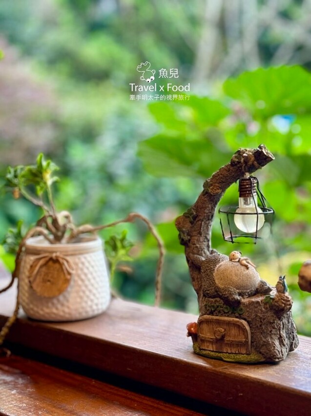 貓咪駐店,住宿、餐食與賞螢|森林系童話故事小屋,苗栗南庄─橄欖樹咖啡民宿 - 魚兒 x 牽手明太子的「視」界旅行