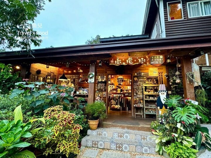 貓咪駐店,住宿、餐食與賞螢|森林系童話故事小屋,苗栗南庄─橄欖樹咖啡民宿 - 魚兒 x 牽手明太子的「視」界旅行