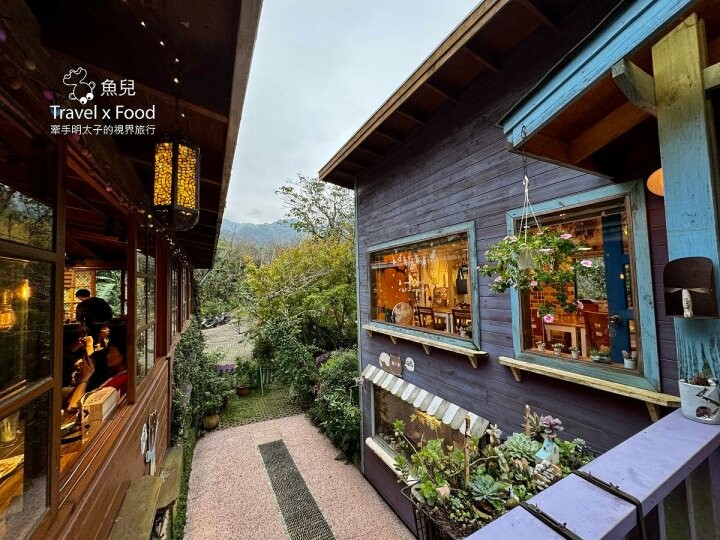 貓咪駐店,住宿、餐食與賞螢|森林系童話故事小屋,苗栗南庄─橄欖樹咖啡民宿 - 魚兒 x 牽手明太子的「視」界旅行