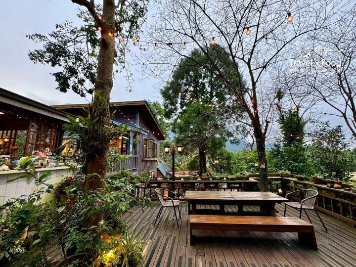 貓咪駐店,住宿、餐食與賞螢|森林系童話故事小屋,苗栗南庄─橄欖樹咖啡民宿 - 魚兒 x 牽手明太子的「視」界旅行