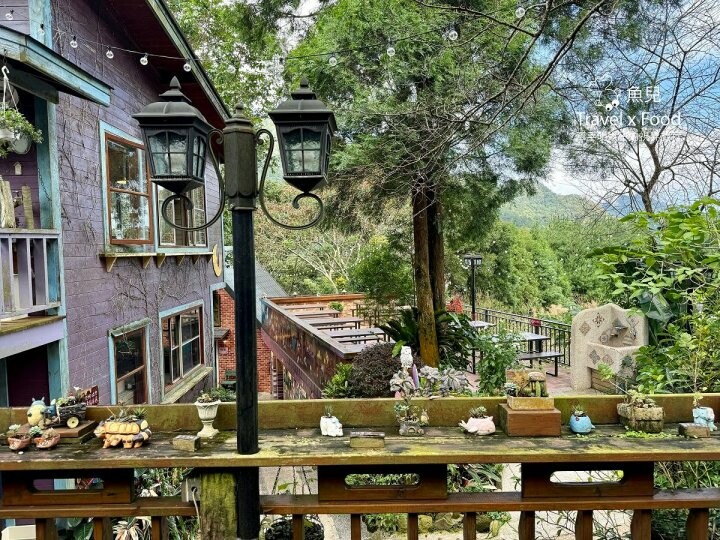 貓咪駐店,住宿、餐食與賞螢|森林系童話故事小屋,苗栗南庄─橄欖樹咖啡民宿 - 魚兒 x 牽手明太子的「視」界旅行