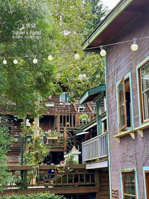 貓咪駐店,住宿、餐食與賞螢|森林系童話故事小屋,苗栗南庄─橄欖樹咖啡民宿 - 魚兒 x 牽手明太子的「視」界旅行