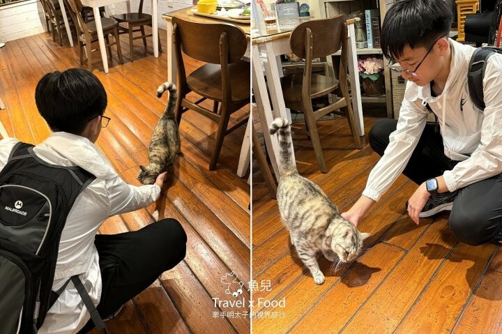 貓咪駐店,住宿、餐食與賞螢|森林系童話故事小屋,苗栗南庄─橄欖樹咖啡民宿 - 魚兒 x 牽手明太子的「視」界旅行