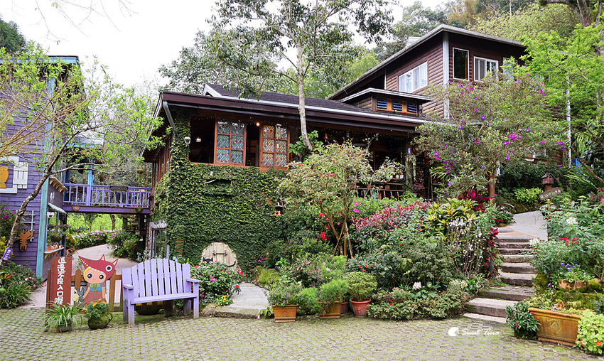 南庄橄欖樹咖啡民宿