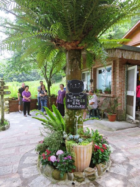 橄欖樹咖啡民宿17