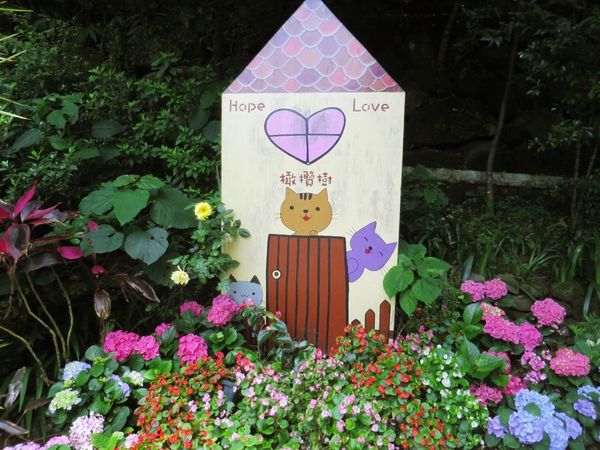 橄欖樹咖啡民宿07