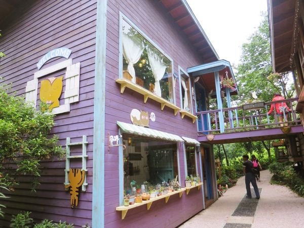 橄欖樹咖啡民宿11