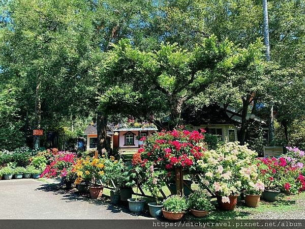 244418921_1021715025290394_8382527092236435211_n